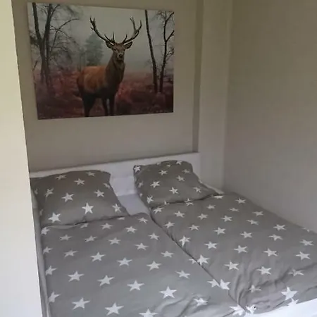 Apartment Ferienwohnung Hexenstube *